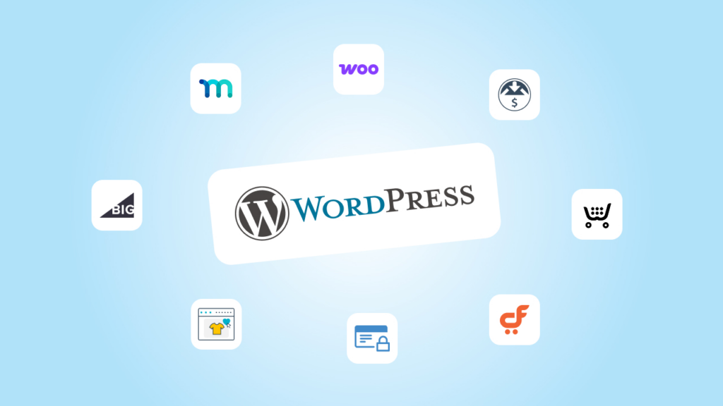 Are 50 Plugins Too Many for a WordPress eCommerce Store?-Why Plugins Are Essential for WordPress eShops