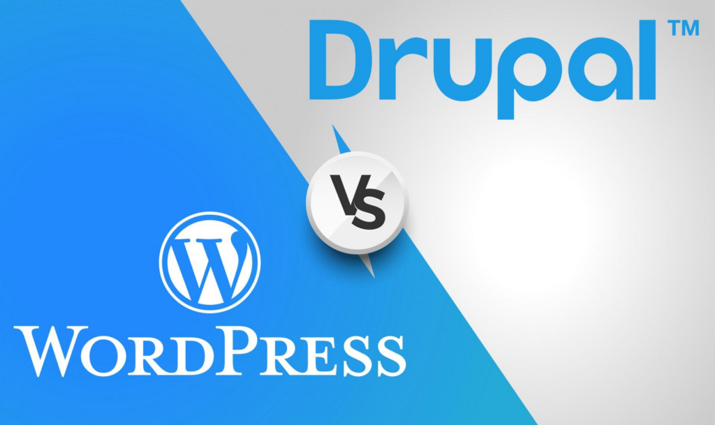 Drupal vs WordPress: Which CMS Should You Choose?
