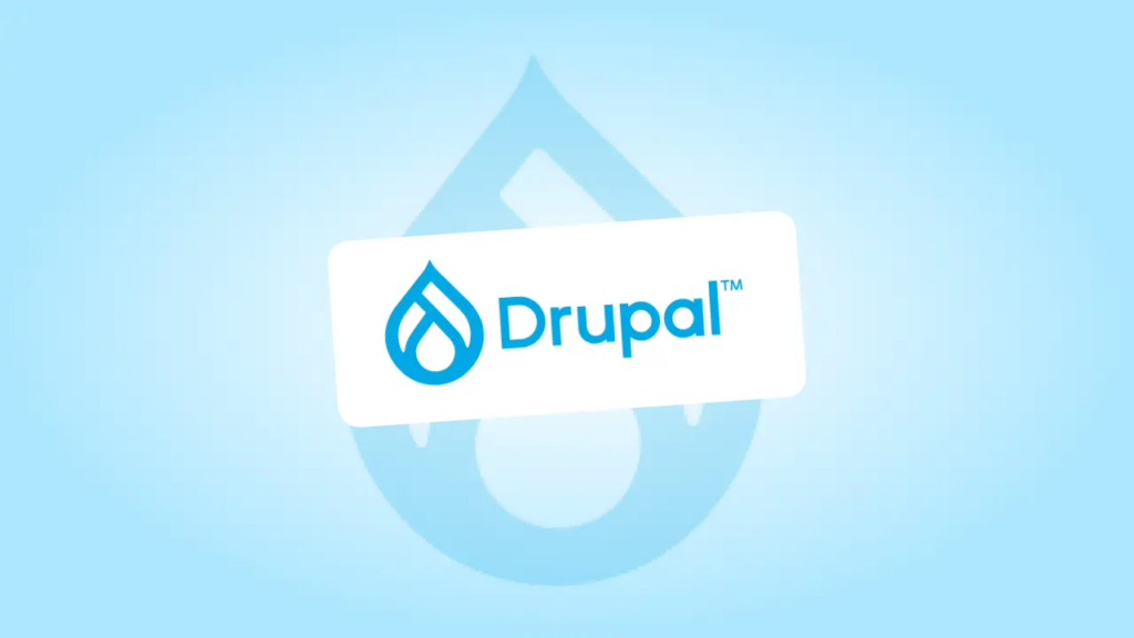Drupal vs WordPress: Which CMS Should You Choose?-What Is Drupal?