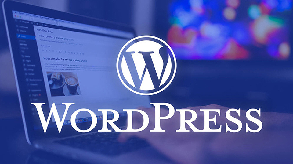 WordPress Help Guide: Find Support Fast