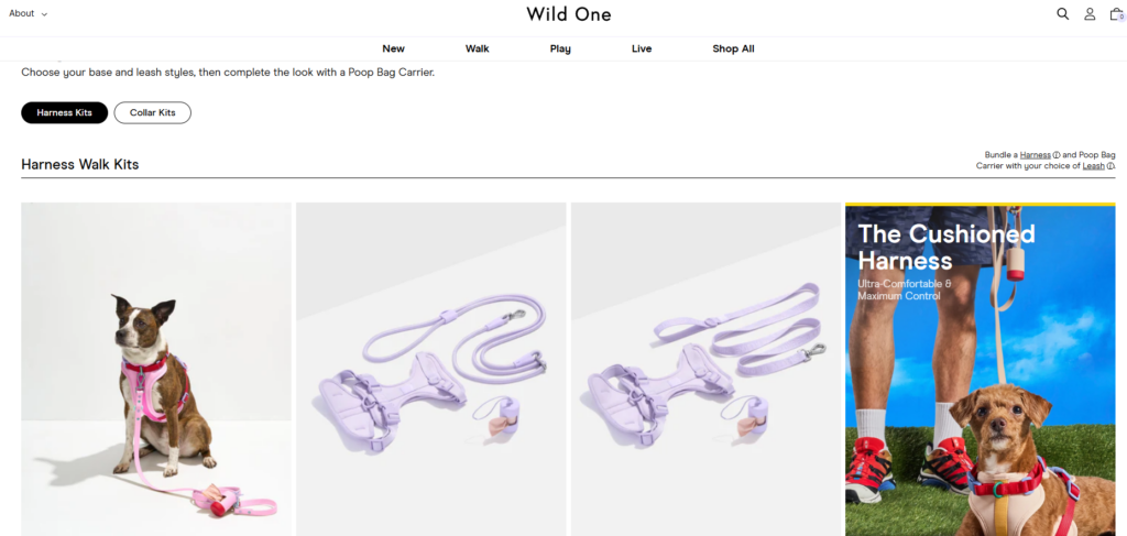 Designing a Modern Shopify Pet Brand Experience-Homepage Design Strategy-Product Bundles and Kits