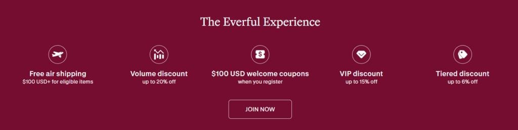 How We Designed the Everful Wholesale Shopify Store-Homepage Design Strategy-Structuring for Clarity and Flow-Value Proposition Section