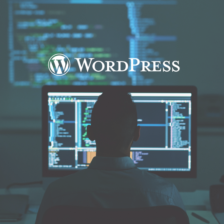 What Is WordPress Maatwerk and Why It Matters