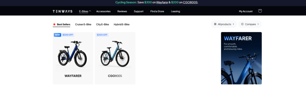 Building a WordPress Website for TENWAYS-Homepage Design: First Impression That Converts-Product Highlights with Clear Segmentation