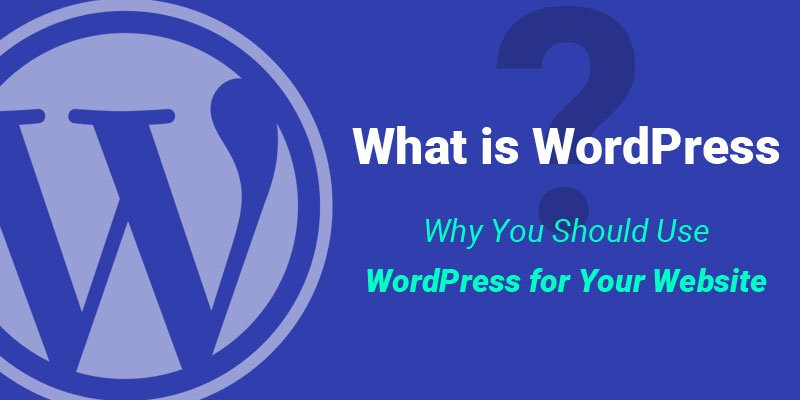 What Is WordPress? A Beginner-Friendly Guide-What Is WordPress?