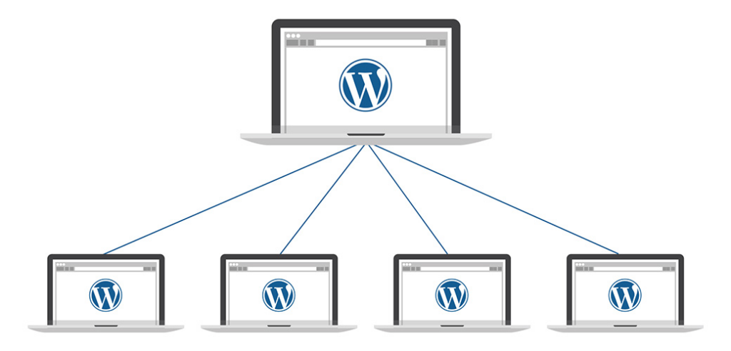 Is WordPress Multisite One Theme or Multiple Explained-What Is WordPress Multisite?