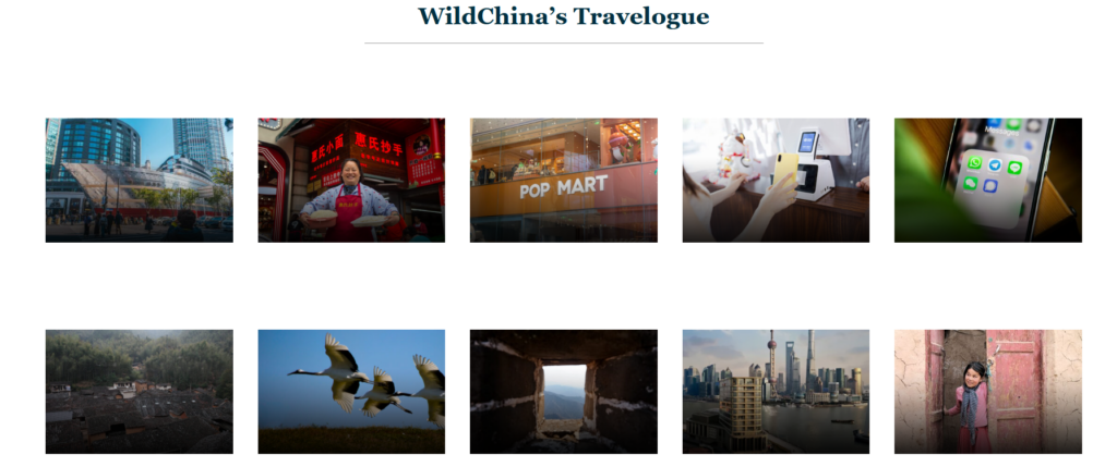 How WildChina Turns Travel Into Storytelling-The Travelogue Grid Builds Content Authority