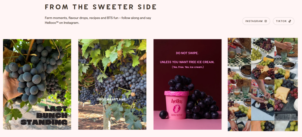 How This WordPress Grape Website Sells Freshness-Social Media Section: Extending the Brand Beyond the Website