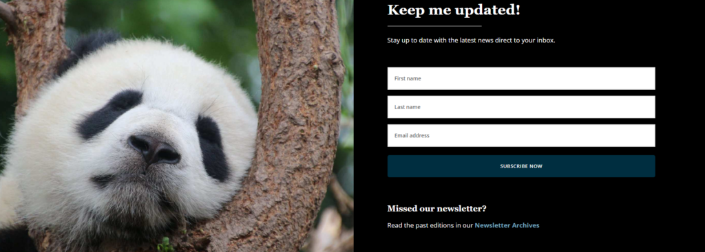 How WildChina Turns Travel Into Storytelling-The Newsletter Section Converts Through Emotion
