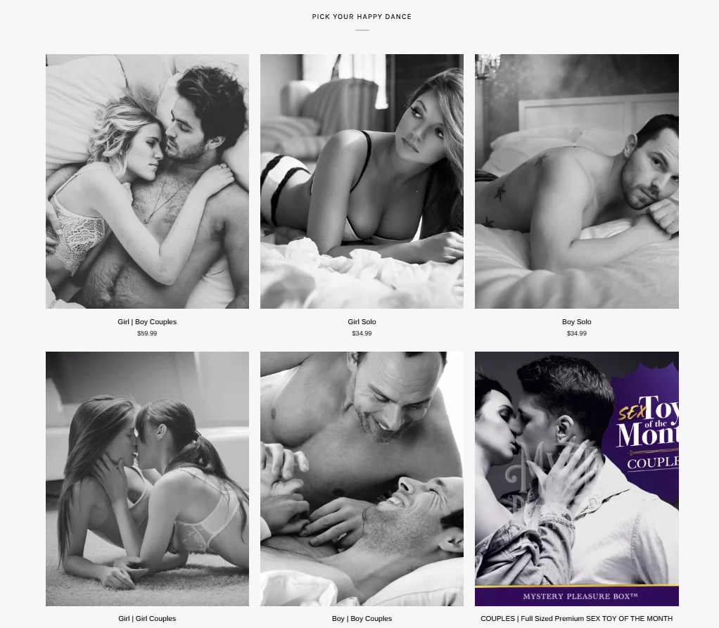 WordPress Adult Subscription Blind Box Brand Website Design and Construction Case - Information Architecture and User Browsing Path - Create a clear navigation experience for first-time users