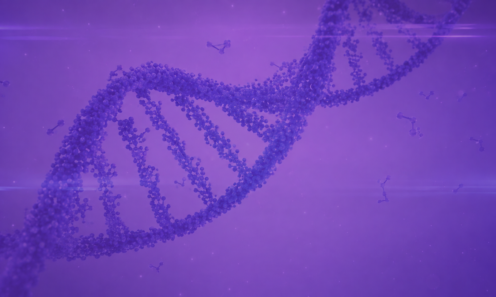 WordPress biotechnology brand official website design and website construction case