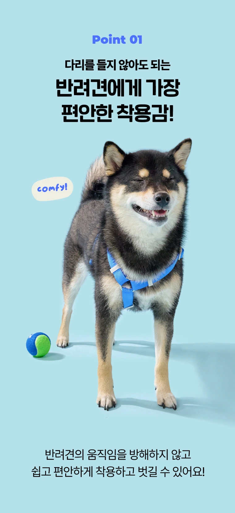 PPZ pet harness traction set: scene opening: let the dog and the harness become the subject at the same time