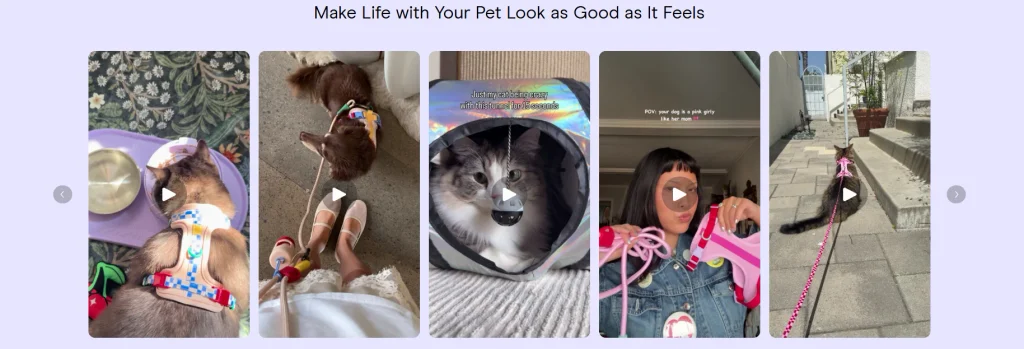 Shopify pet products brand website design case - integration of lifestyle images