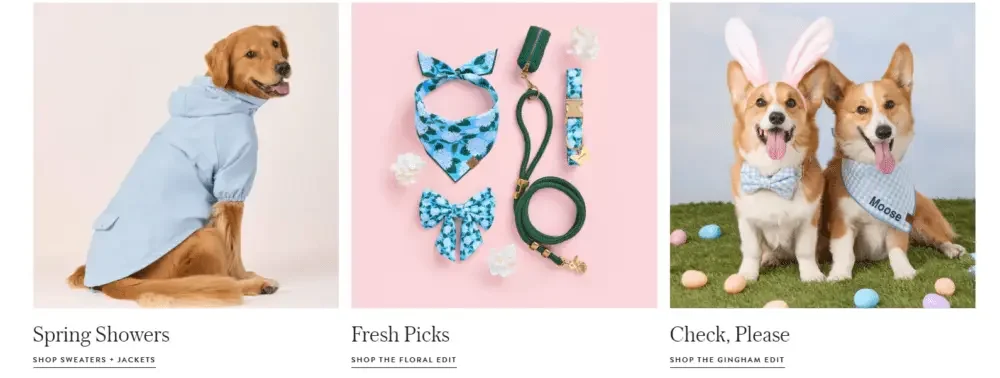 Shopify pet products brand website design case - promote browsing and purchasing through product display design - organize products according to lifestyle stories