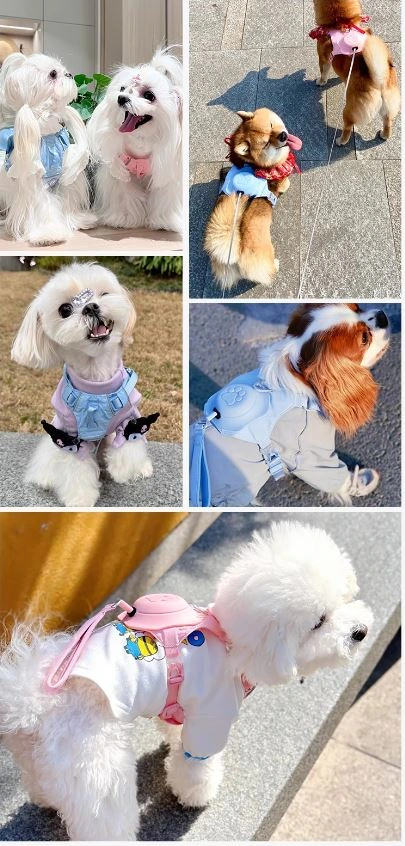 Integrated pet harness: wearing situation: connecting different dogs with photo grid