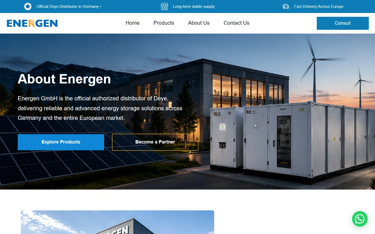Energen Brand Introduction: Supplementary Brand and Team Background