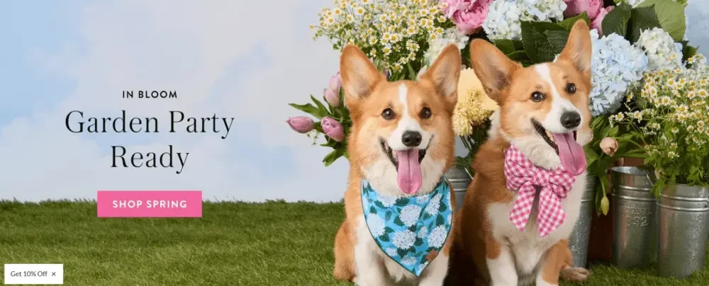 Shopify pet products brand website website design case-information architecture and homepage planning-first screen main visual Hero Banner
