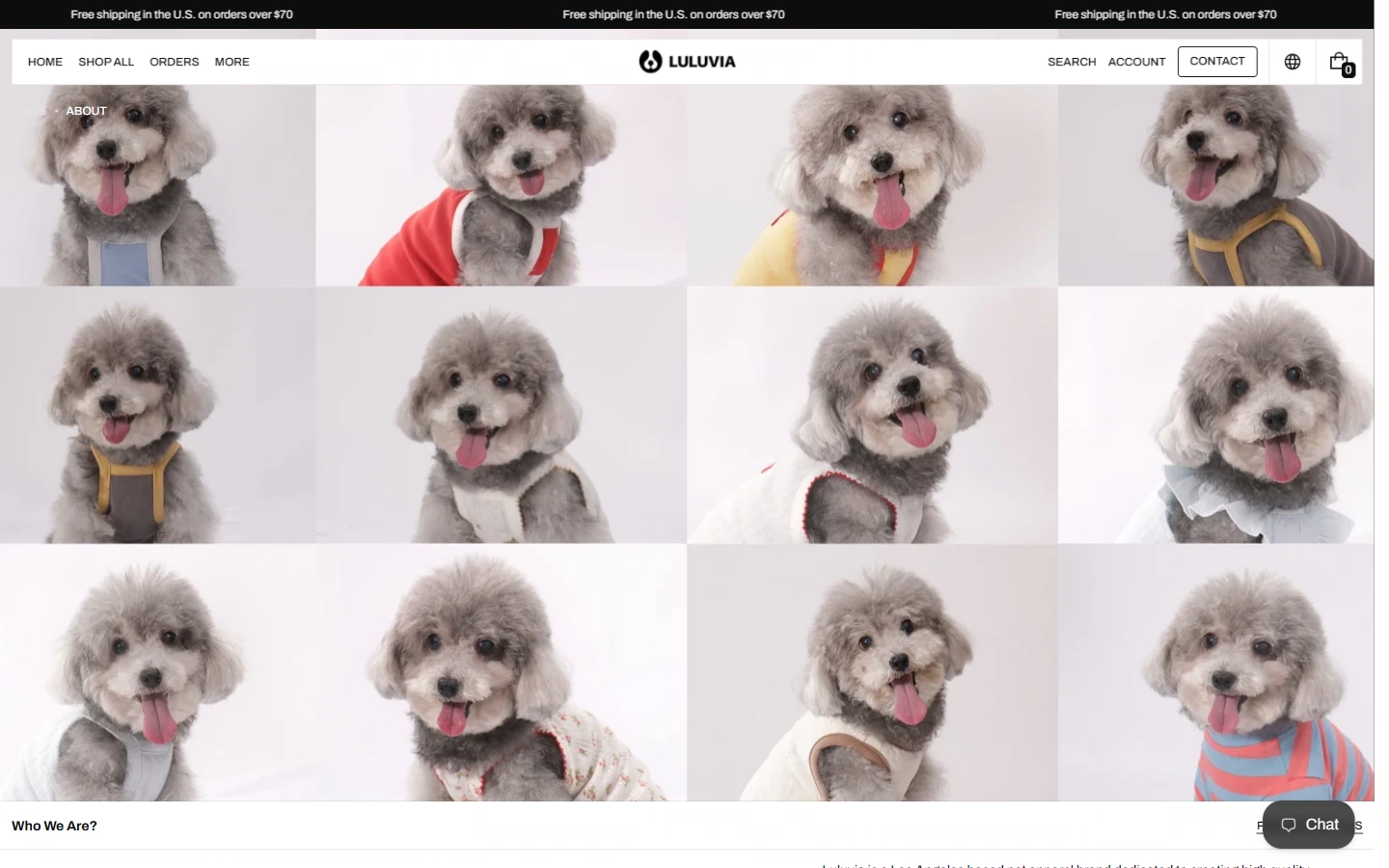 Luluvia Brand Introduction: Supplementary Brand and Team Background