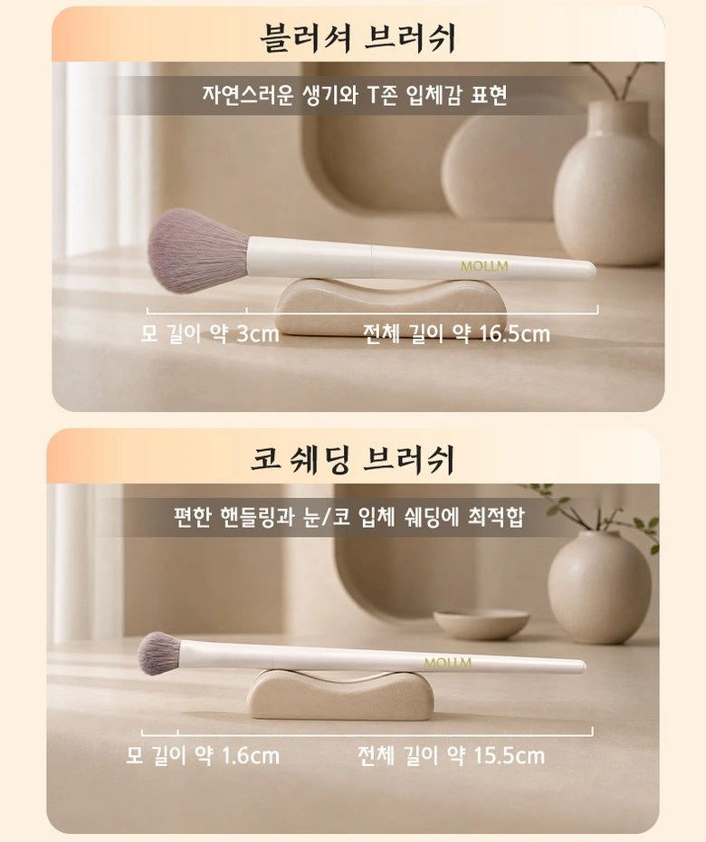 MOLLM Ten Makeup Brushes: Medium Brush: Follow the Same Reading Baseline