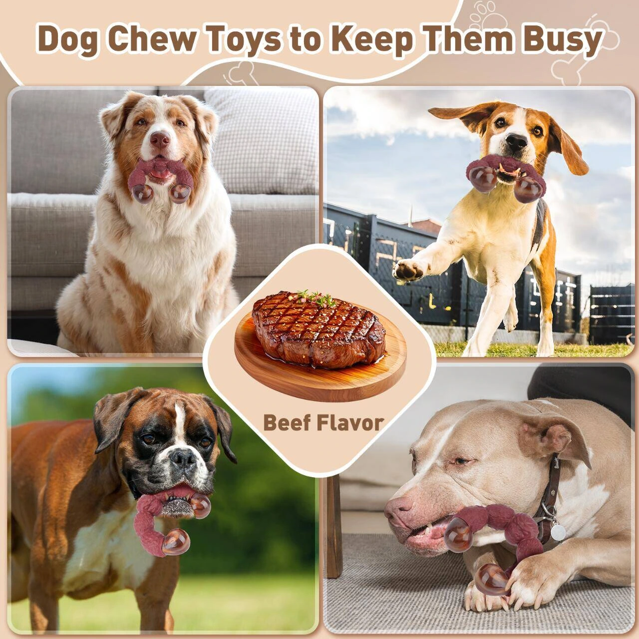 Product picture of pet teething toys: Interactive puzzle: unifying the images of different dogs