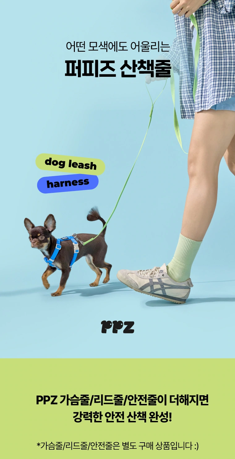 PPZ Pet Harness Traction Set: Walking Situation: Establishing the Ratio between Characters and Pets