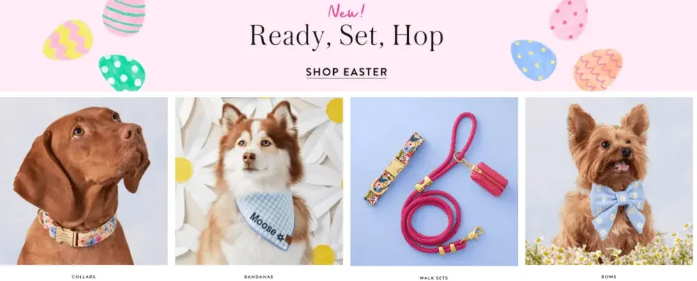 Shopify pet products brand website website design case-information architecture and homepage planning-quick classification entrance