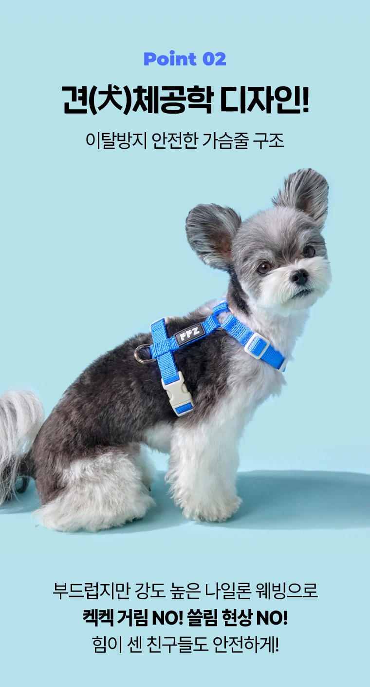 PPZ Pet Harness Traction Set: Structure Theme: Preserve the connection relationship in a sitting photo