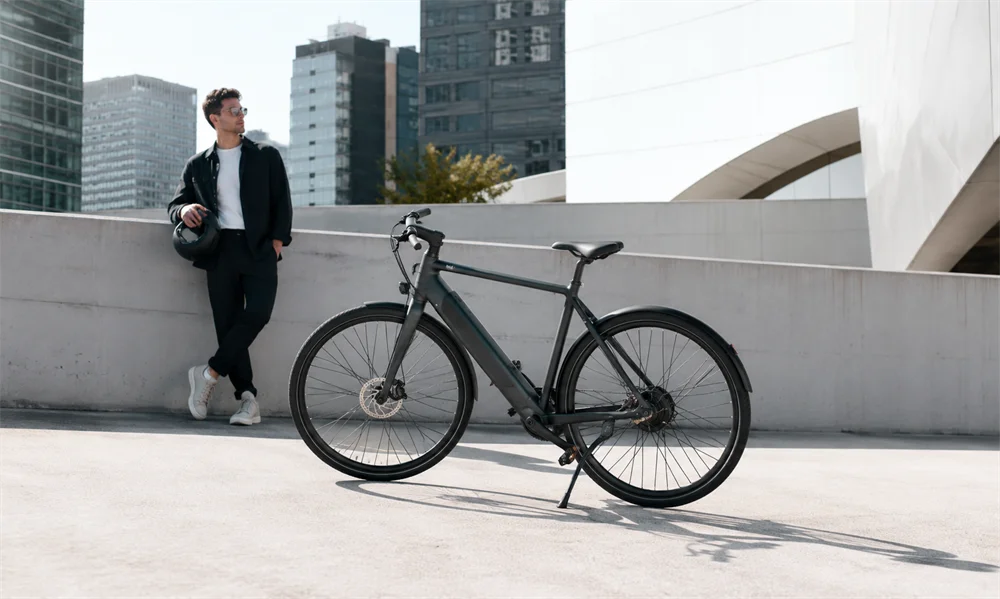 WordPress electric bicycle brand website website design project