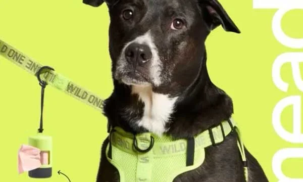 Pet Supplies