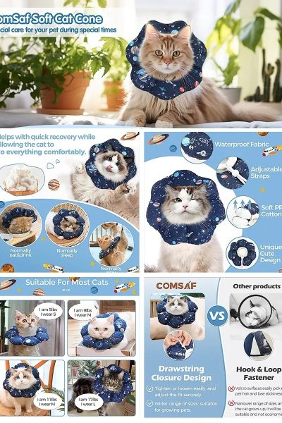 70851d903fe3d74409bb05ab91e3cf90_672a4837b146b0d71e40a1260b676165fa35ac6e3430e-HXai4P_fw1200