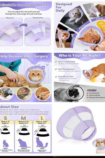 Pet-Products6
